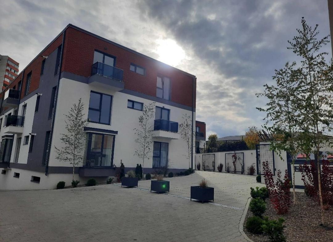 Lily Central Apartment With Free Parking Târgu-Mureş Buitenkant foto